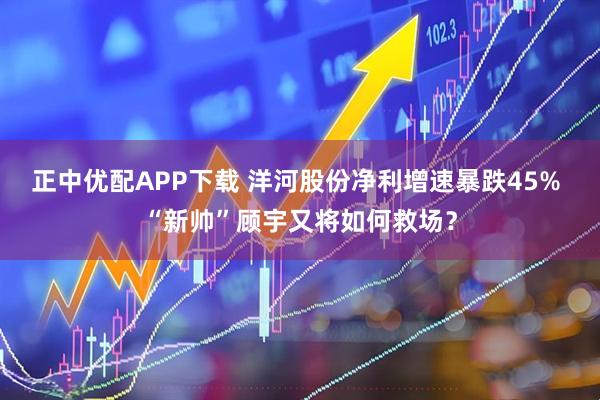 正中优配APP下载 洋河股份净利增速暴跌45% “新帅”顾宇又将如何救场？