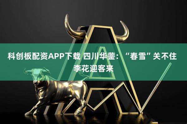 科创板配资APP下载 四川华蓥：“春雪”关不住 李花迎客来
